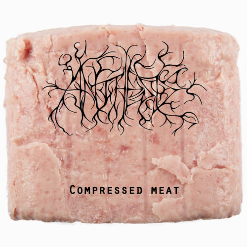 anthesis-compressed-meat-anthesis-compressed-meat-cover